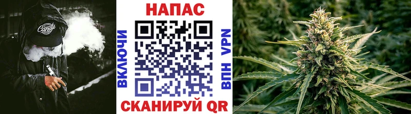 Купить закладки  Чапаевск  Бошки Шишки индика 
